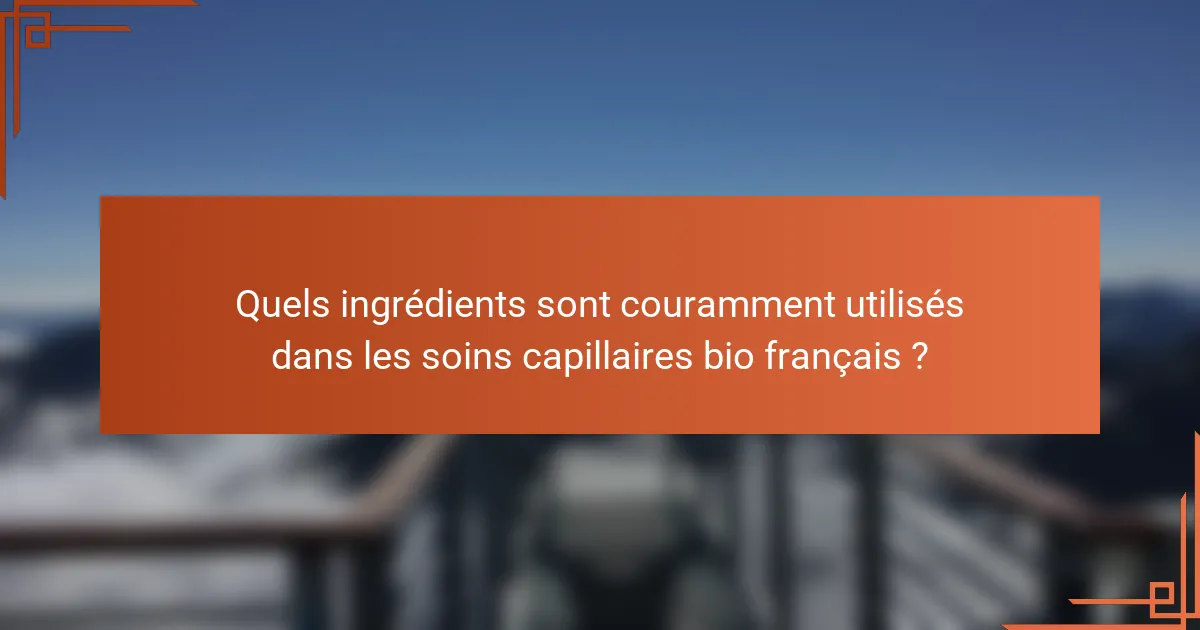 Quels ingrédients sont couramment utilisés dans les soins capillaires bio français ?