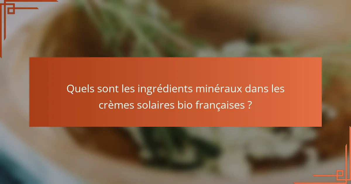 Quels sont les ingrédients minéraux dans les crèmes solaires bio françaises ?