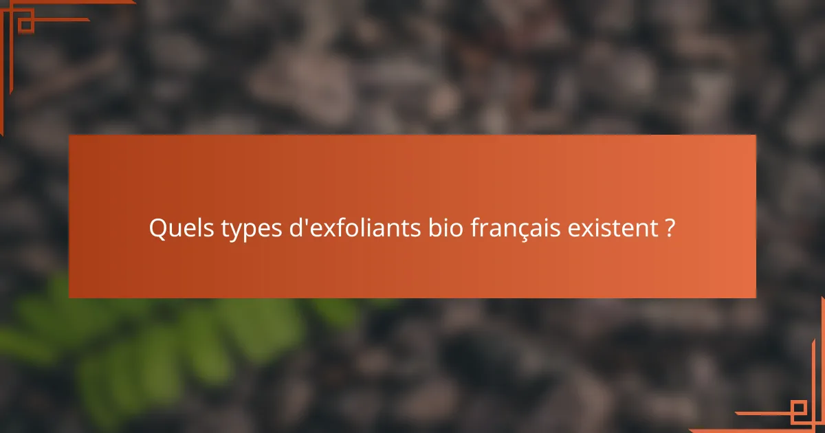 Quels types d'exfoliants bio français existent ?