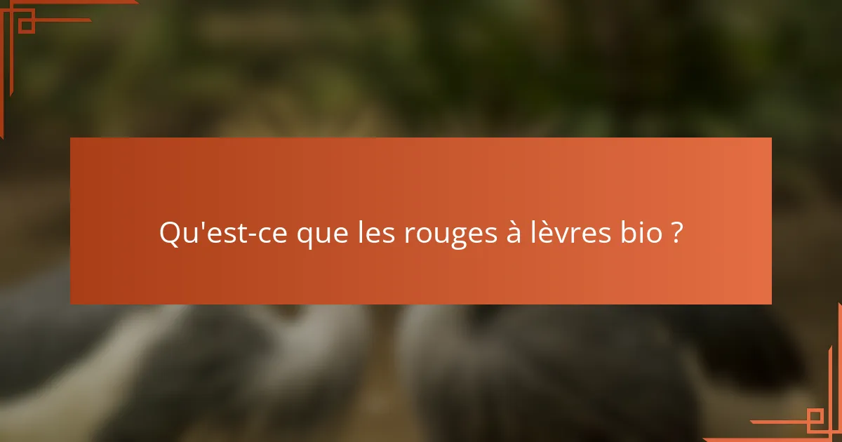 Qu'est-ce que les rouges à lèvres bio ?